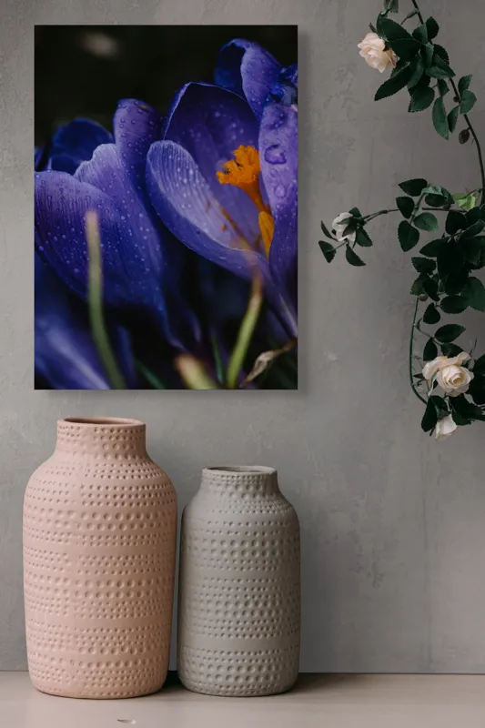 Tablou Canvas, "Petale violet mângâiate de ploaie", Picături, Petale, Violet, Stamine, Frumusețe, Natură, 39 x 54 cm – poza 6