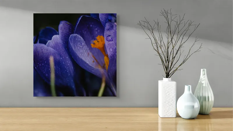 Tablou Canvas, "Petale violet mângâiate de ploaie", Picături, Petale, Violet, Stamine, Frumusețe, Natură, 50 x 50 cm – poza 3