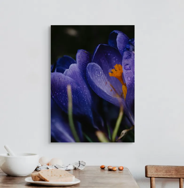 Tablou Canvas, "Petale violet mângâiate de ploaie", Picături, Petale, Violet, Stamine, Frumusețe, Natură, 50 x 70 cm – poza 3