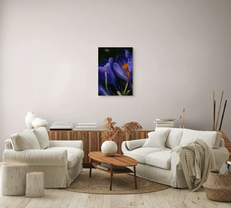 Tablou Canvas, "Petale violet mângâiate de ploaie", Picături, Petale, Violet, Stamine, Frumusețe, Natură, 50 x 70 cm – poza 4