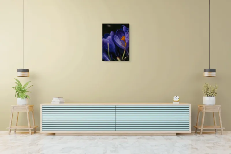 Tablou Canvas, "Petale violet mângâiate de ploaie", Picături, Petale, Violet, Stamine, Frumusețe, Natură, 50 x 70 cm – poza 6