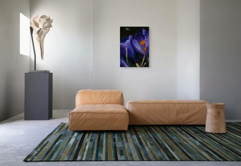 Tablou Canvas, "Petale violet mângâiate de ploaie", Picături, Petale, Violet, Stamine, Frumusețe, Natură, 50 x 70 cm – poza 7