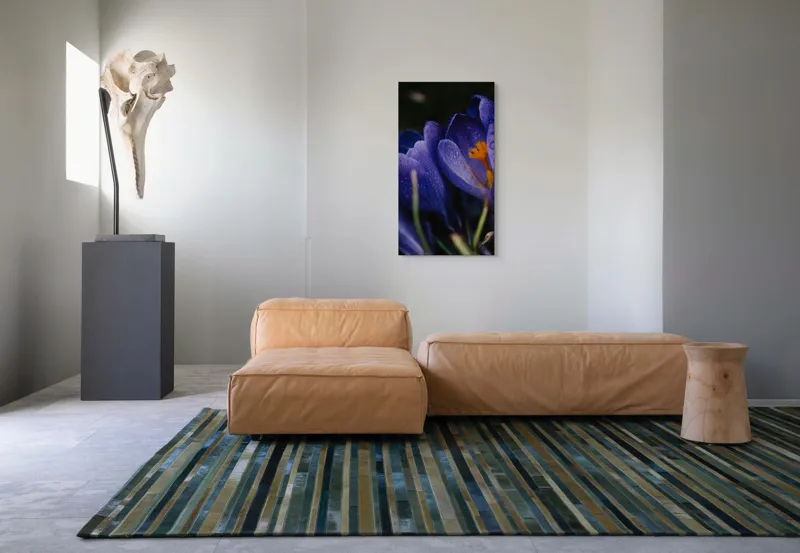 Tablou Canvas, "Petale violet mângâiate de ploaie", Picături, Petale, Violet, Stamine, Frumusețe, Natură, 50 x 90 cm – poza 5