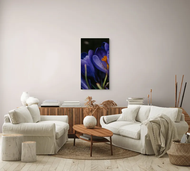 Tablou Canvas, "Petale violet mângâiate de ploaie", Picături, Petale, Violet, Stamine, Frumusețe, Natură, 50 x 90 cm – poza 7