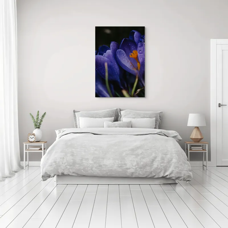 Tablou Canvas, "Petale violet mângâiate de ploaie", Picături, Petale, Violet, Stamine, Frumusețe, Natură, 70 x 100 cm – poza 3