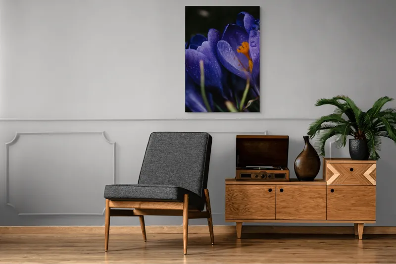 Tablou Canvas, "Petale violet mângâiate de ploaie", Picături, Petale, Violet, Stamine, Frumusețe, Natură, 70 x 100 cm – poza 6