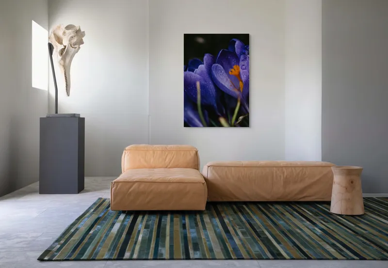 Tablou Canvas, "Petale violet mângâiate de ploaie", Picături, Petale, Violet, Stamine, Frumusețe, Natură, 70 x 100 cm – poza 7
