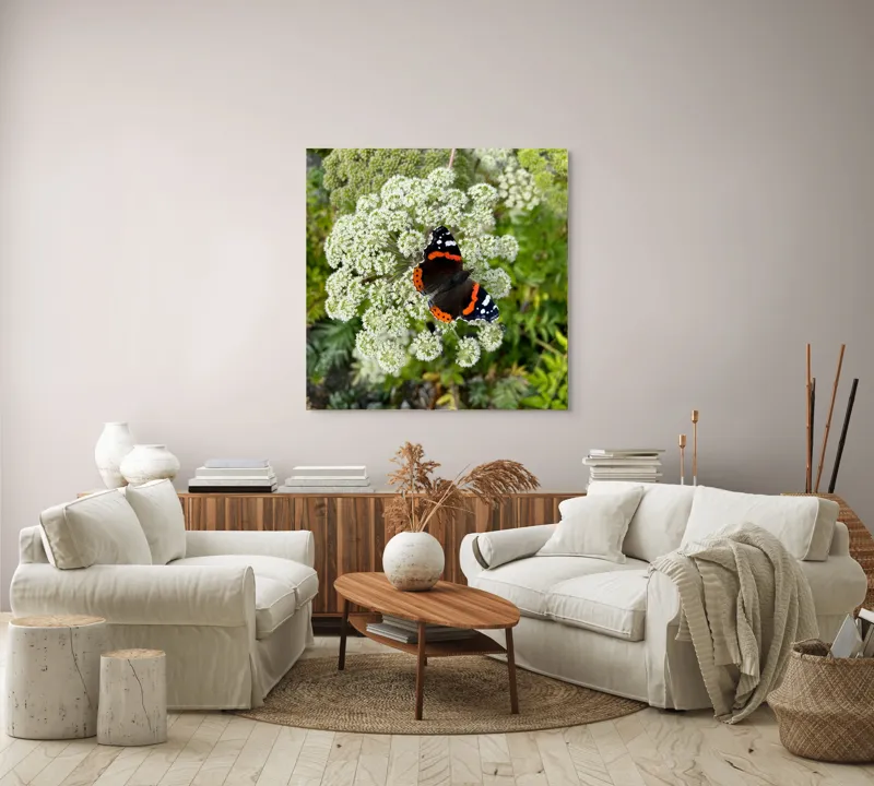 Tablou Canvas, "Fluturele și floarea luminoasă a verii", Fluture, Contrast, Natura, Flori, Aripi, Detalii, Culori, Fragilitate, Viu, Verde, Gratie, 100 x 100 cm – poza 3
