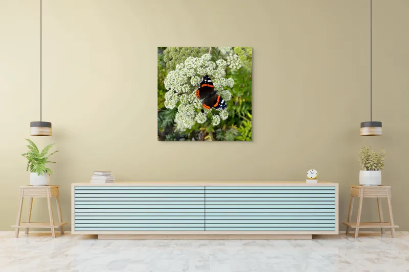 Tablou Canvas, "Fluturele și floarea luminoasă a verii", Fluture, Contrast, Natura, Flori, Aripi, Detalii, Culori, Fragilitate, Viu, Verde, Gratie, 100 x 100 cm – poza 5