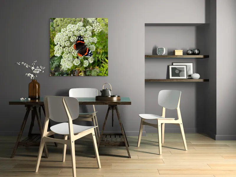 Tablou Canvas, "Fluturele și floarea luminoasă a verii", Fluture, Contrast, Natura, Flori, Aripi, Detalii, Culori, Fragilitate, Viu, Verde, Gratie, 100 x 100 cm – poza 6