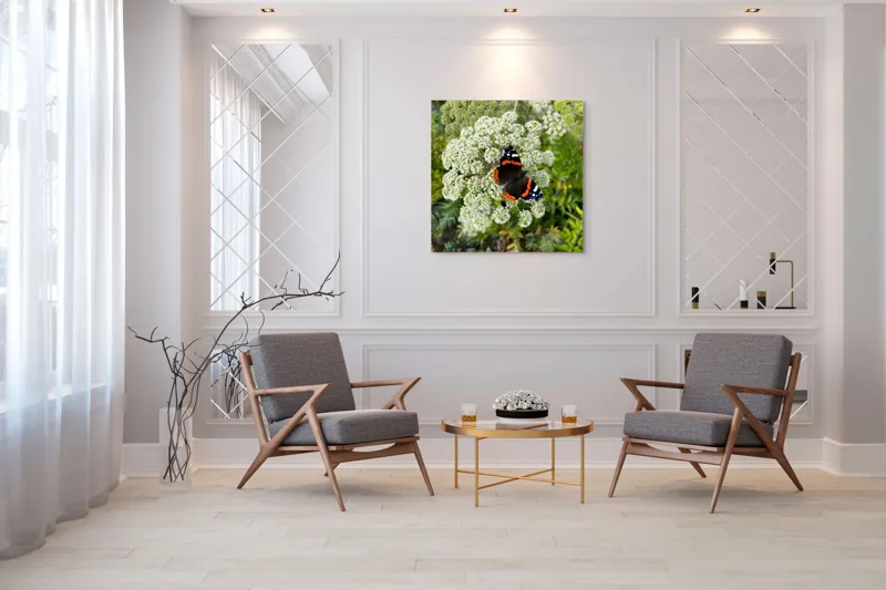 Tablou Canvas, "Fluturele și floarea luminoasă a verii", Fluture, Contrast, Natura, Flori, Aripi, Detalii, Culori, Fragilitate, Viu, Verde, Gratie, 100 x 100 cm – poza 7