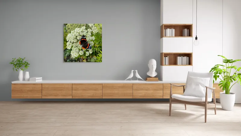 Tablou Canvas, "Fluturele și floarea luminoasă a verii", Fluture, Contrast, Natura, Flori, Aripi, Detalii, Culori, Fragilitate, Viu, Verde, Gratie, 100 x 100 cm – poza 8