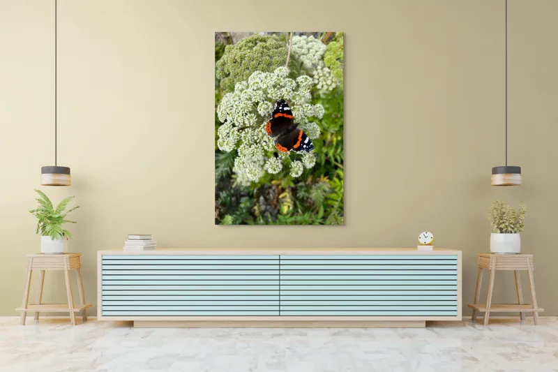 Tablou Canvas, "Fluturele și floarea luminoasă a verii", Fluture, Contrast, Natura, Flori, Aripi, Detalii, Culori, Fragilitate, Viu, Verde, Gratie, 100 x 150 cm – poza 4