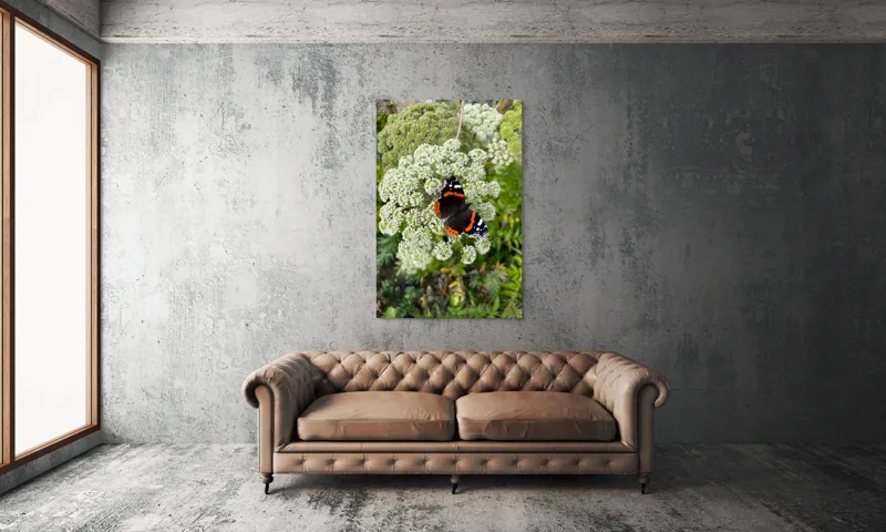 Tablou Canvas, "Fluturele și floarea luminoasă a verii", Fluture, Contrast, Natura, Flori, Aripi, Detalii, Culori, Fragilitate, Viu, Verde, Gratie, 100 x 150 cm – poza 6