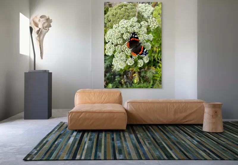 Tablou Canvas, "Fluturele și floarea luminoasă a verii", Fluture, Contrast, Natura, Flori, Aripi, Detalii, Culori, Fragilitate, Viu, Verde, Gratie, 100 x 150 cm – poza 7