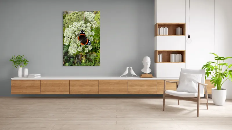 Tablou Canvas, "Fluturele și floarea luminoasă a verii", Fluture, Contrast, Natura, Flori, Aripi, Detalii, Culori, Fragilitate, Viu, Verde, Gratie, 100 x 150 cm – poza 8