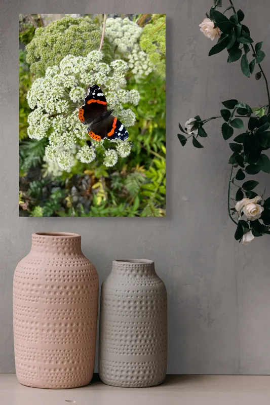 Tablou Canvas, "Fluturele și floarea luminoasă a verii", Fluture, Contrast, Natura, Flori, Aripi, Detalii, Culori, Fragilitate, Viu, Verde, Gratie, 39 x 54 cm – poza 6
