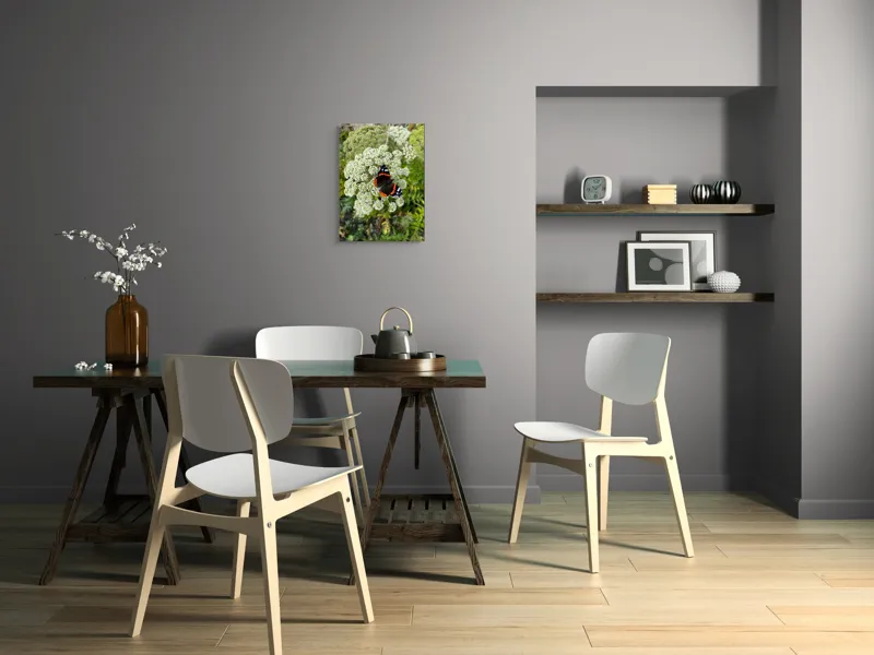 Tablou Canvas, "Fluturele și floarea luminoasă a verii", Fluture, Contrast, Natura, Flori, Aripi, Detalii, Culori, Fragilitate, Viu, Verde, Gratie, 39 x 54 cm – poza 7