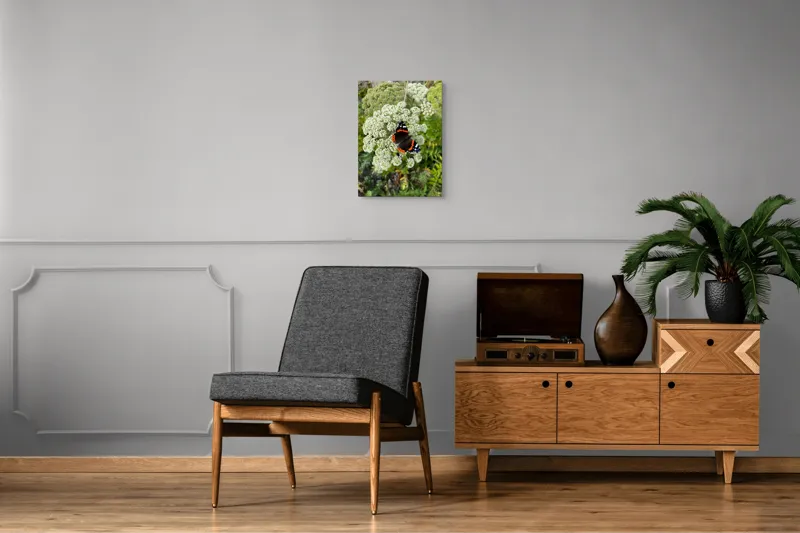 Tablou Canvas, "Fluturele și floarea luminoasă a verii", Fluture, Contrast, Natura, Flori, Aripi, Detalii, Culori, Fragilitate, Viu, Verde, Gratie, 39 x 54 cm – poza 8