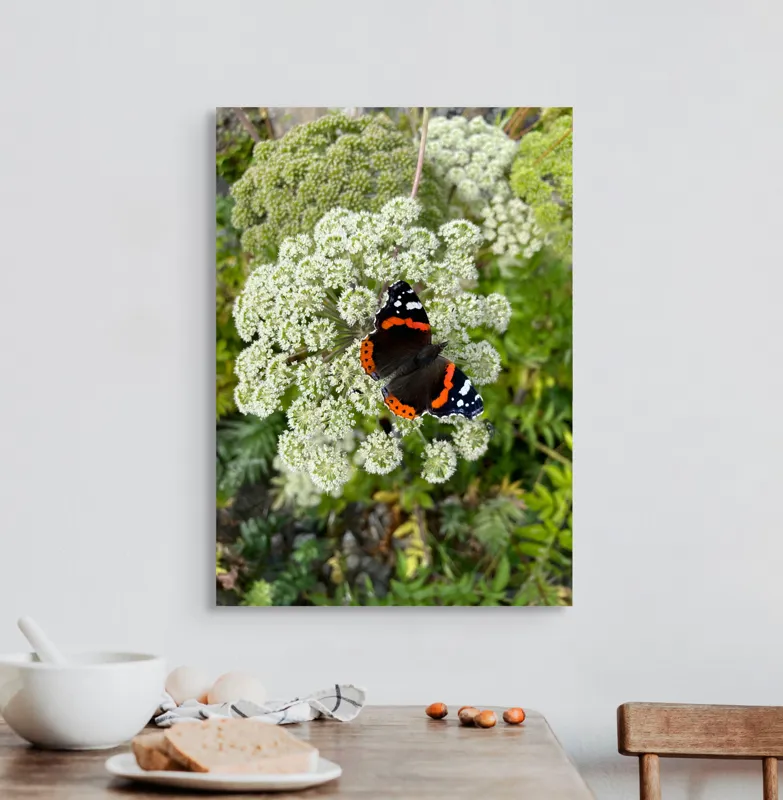 Tablou Canvas, "Fluturele și floarea luminoasă a verii", Fluture, Contrast, Natura, Flori, Aripi, Detalii, Culori, Fragilitate, Viu, Verde, Gratie, 50 x 70 cm – poza 3