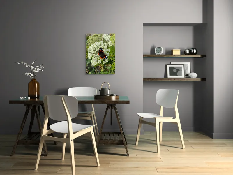Tablou Canvas, "Fluturele și floarea luminoasă a verii", Fluture, Contrast, Natura, Flori, Aripi, Detalii, Culori, Fragilitate, Viu, Verde, Gratie, 50 x 70 cm – poza 5