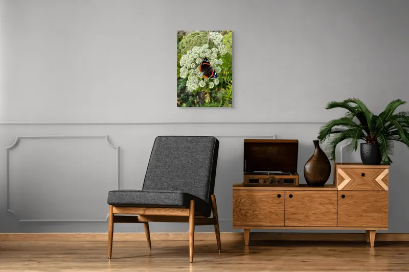 Tablou Canvas, "Fluturele și floarea luminoasă a verii", Fluture, Contrast, Natura, Flori, Aripi, Detalii, Culori, Fragilitate, Viu, Verde, Gratie, 50 x 70 cm – poza 8