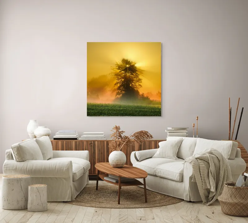Tablou Canvas, "Răsărit de soare în ceață aurie", Soare, Raze, Copac, Ceață, Câmp, Lumină, Natură, Pace, Dimineață, Serenitate, 100 x 100 cm – poza 3
