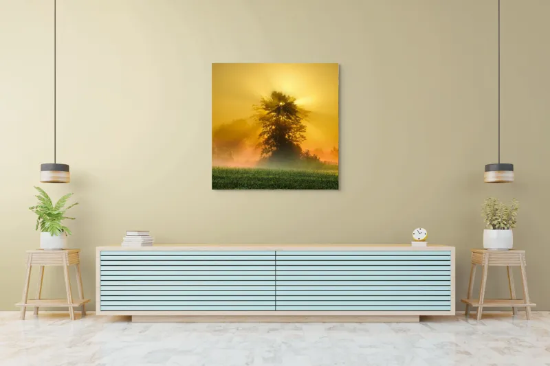 Tablou Canvas, "Răsărit de soare în ceață aurie", Soare, Raze, Copac, Ceață, Câmp, Lumină, Natură, Pace, Dimineață, Serenitate, 100 x 100 cm – poza 5