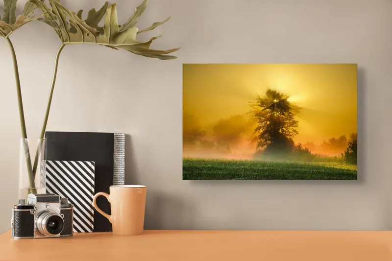 Tablou Canvas, "Răsărit de soare în ceață aurie", Soare, Raze, Copac, Ceață, Câmp, Lumină, Natură, Pace, Dimineață, Serenitate, 39 x 26 cm – poza 3