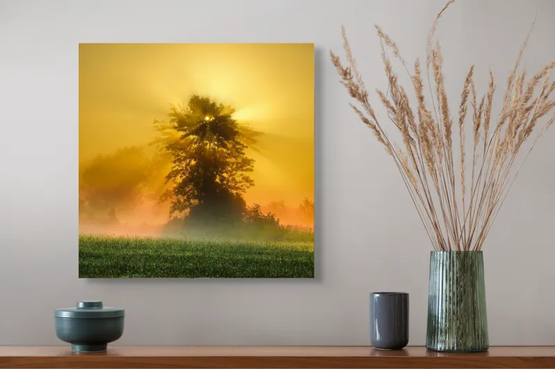 Tablou Canvas, "Răsărit de soare în ceață aurie", Soare, Raze, Copac, Ceață, Câmp, Lumină, Natură, Pace, Dimineață, Serenitate, 50 x 50 cm – poza 4
