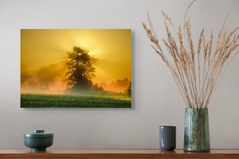 Tablou Canvas, "Răsărit de soare în ceață aurie", Soare, Raze, Copac, Ceață, Câmp, Lumină, Natură, Pace, Dimineață, Serenitate, 54 x 39 cm – poza 4