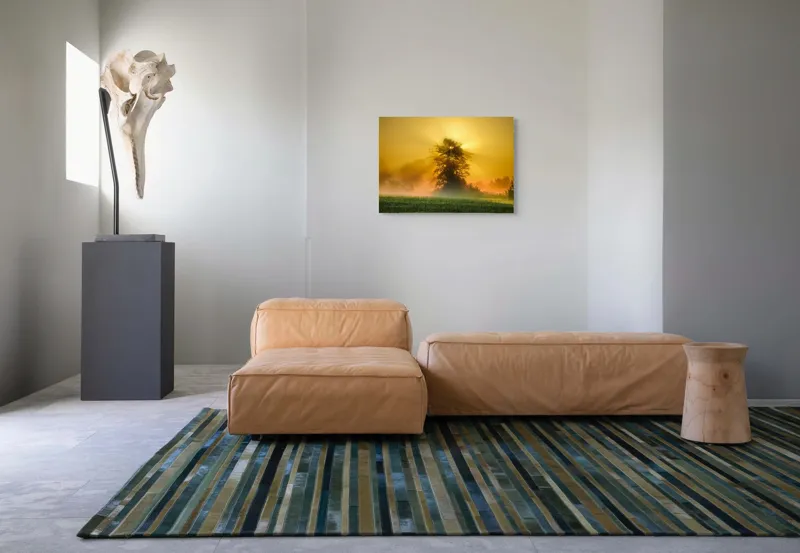 Tablou Canvas, "Răsărit de soare în ceață aurie", Soare, Raze, Copac, Ceață, Câmp, Lumină, Natură, Pace, Dimineață, Serenitate, 70 x 50 cm – poza 8