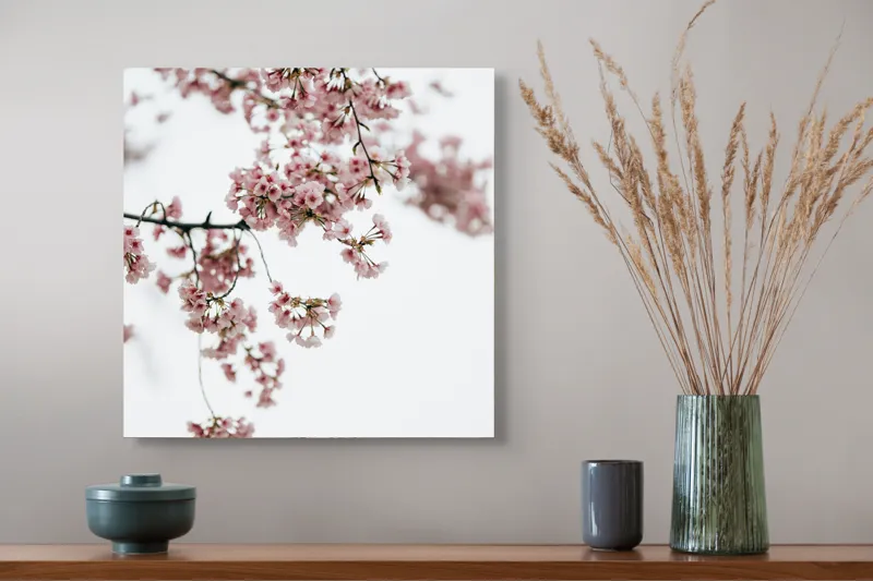 Tablou Canvas, "Flori de cireș într-o primăvară senină", Flori, Delicatețe, Primăvară, Culoare, Fragilitate, Rafinament, Natură, 50 x 50 cm – poza 4