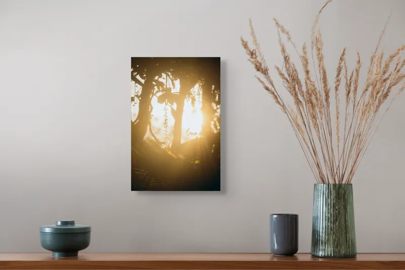 Tablou Canvas, "Lumina soarelui printre crenguțe verzi", Lumină, Siluete, Mister, Natură, Răsfirare, Contrast, Frunziș, 26 x 39 cm – poza 5