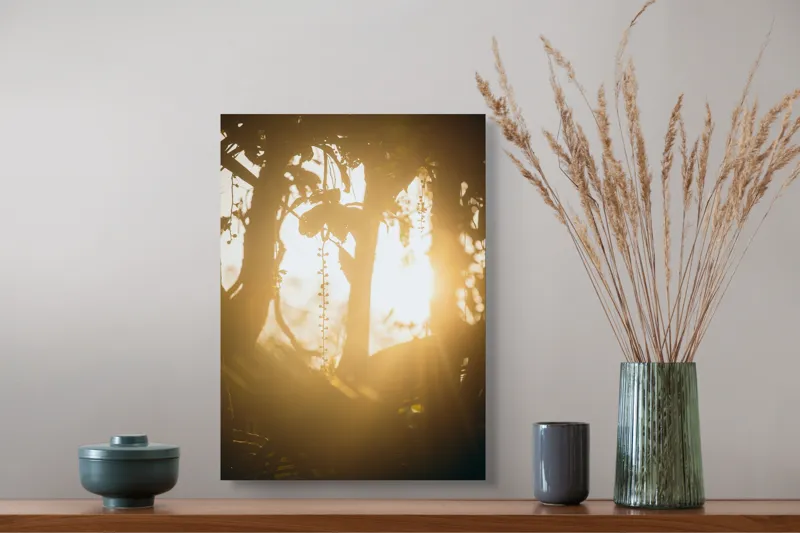 Tablou Canvas, "Lumina soarelui printre crenguțe verzi", Lumină, Siluete, Mister, Natură, Răsfirare, Contrast, Frunziș, 39 x 54 cm – poza 3