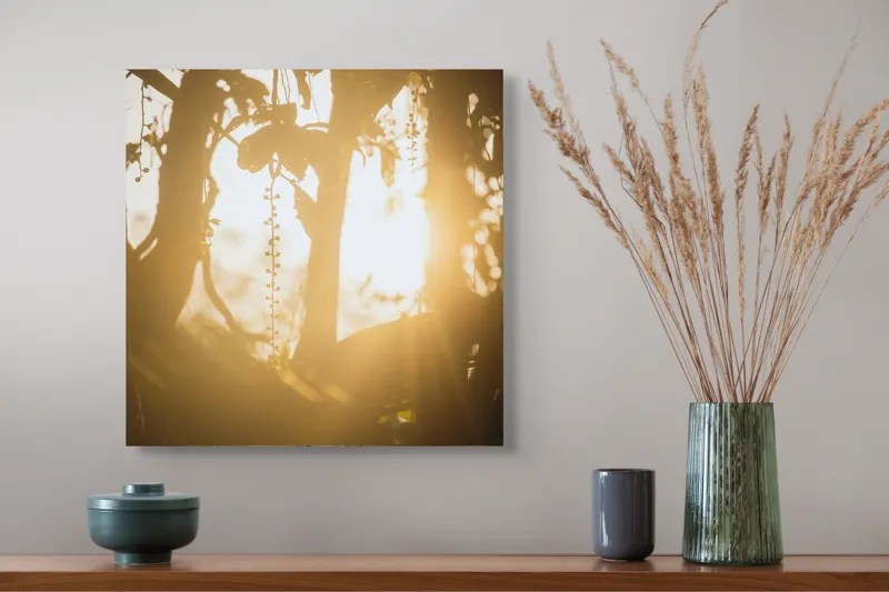 Tablou Canvas, "Lumina soarelui printre crenguțe verzi", Lumină, Siluete, Mister, Natură, Răsfirare, Contrast, Frunziș, 50 x 50 cm – poza 4