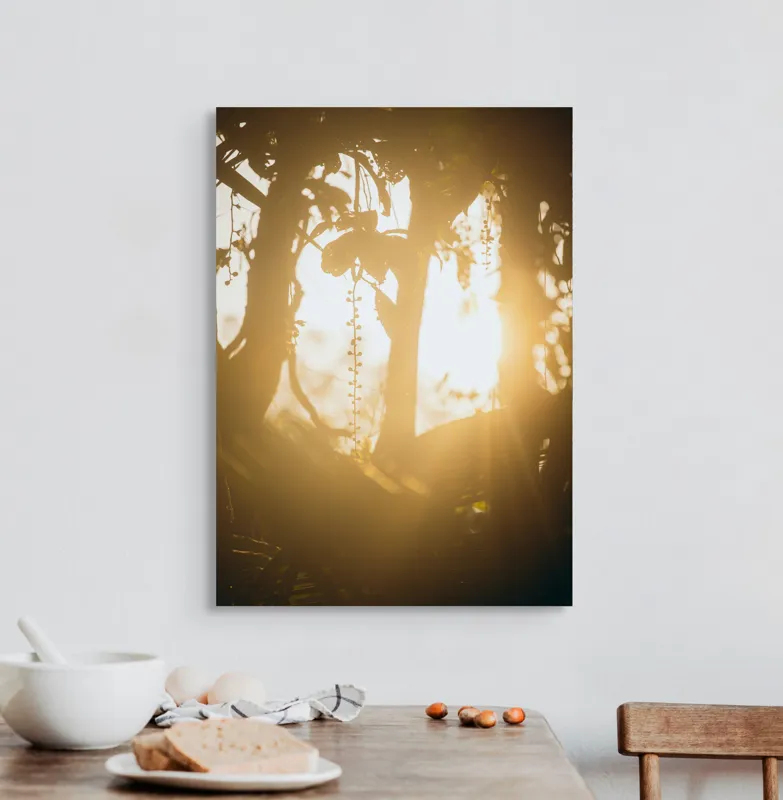 Tablou Canvas, "Lumina soarelui printre crenguțe verzi", Lumină, Siluete, Mister, Natură, Răsfirare, Contrast, Frunziș, 50 x 70 cm – poza 3
