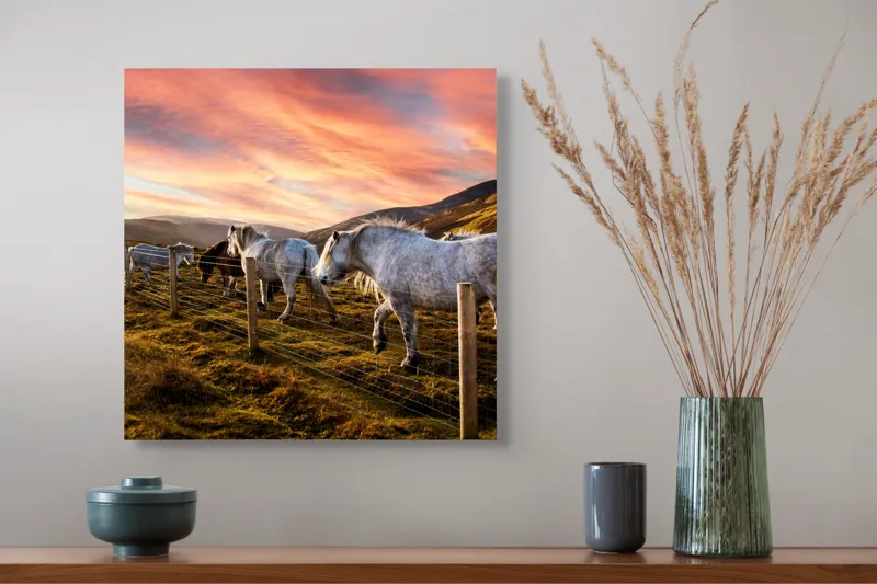 Tablou Canvas, "Cai în amurg pe dealuri sub cerceaf de apus", Calm, Peisaj, Căi, Asfințit, Cer, Munți, Gard, Paradis, Pășune, Frumusețe, 50 x 50 cm – poza 4