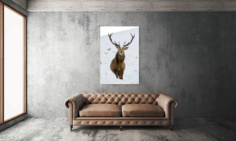 Tablou Canvas, "Cerbul singuratic în zăpada iernii", Deer, Snow, Winter, Antlers, Stare, Majestic, Cold, Nature, Wilderness, White, Calm, Scenery, Solitude, 100 x 150 cm – poza 6