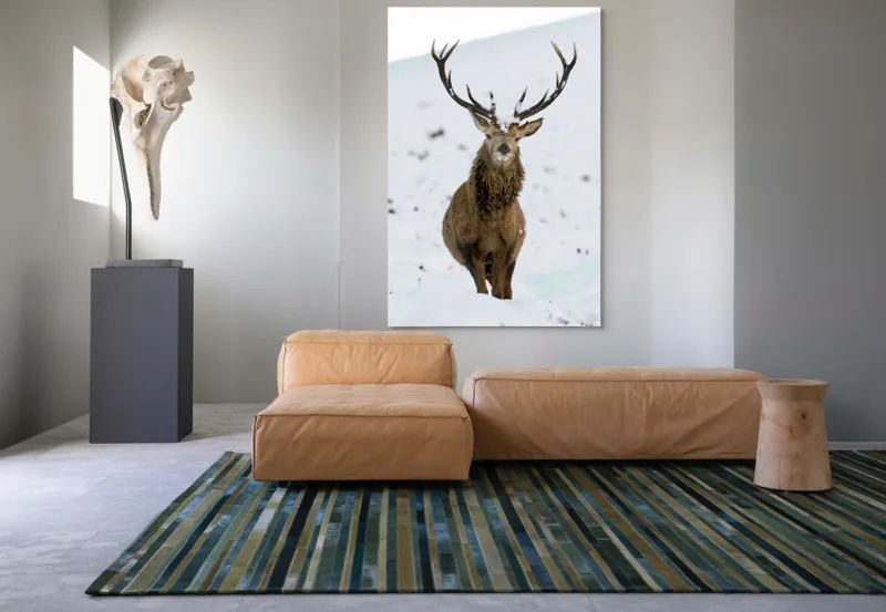 Tablou Canvas, "Cerbul singuratic în zăpada iernii", Deer, Snow, Winter, Antlers, Stare, Majestic, Cold, Nature, Wilderness, White, Calm, Scenery, Solitude, 100 x 150 cm – poza 7