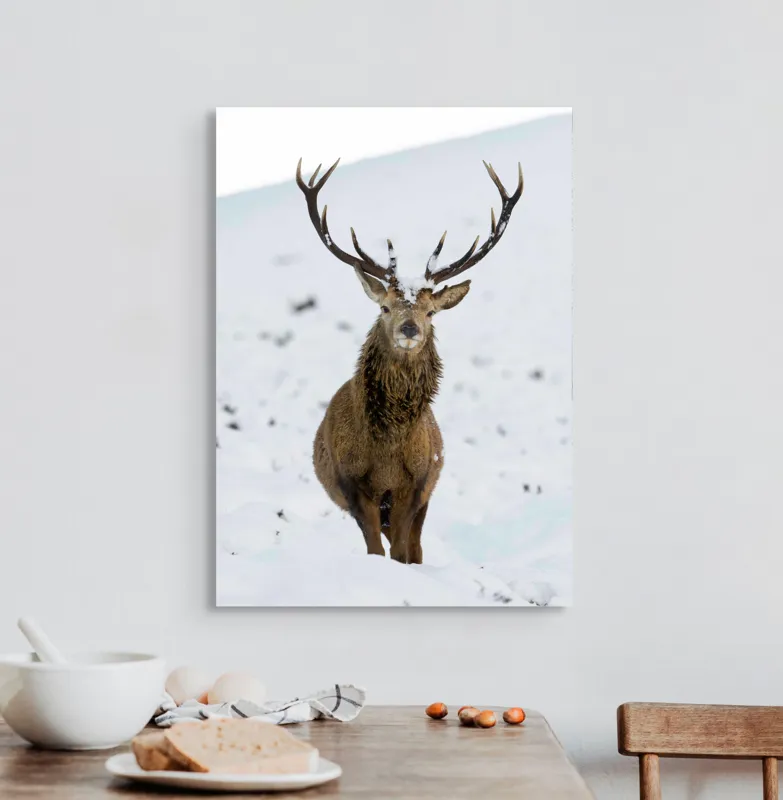 Tablou Canvas, "Cerbul singuratic în zăpada iernii", Deer, Snow, Winter, Antlers, Stare, Majestic, Cold, Nature, Wilderness, White, Calm, Scenery, Solitude, 50 x 70 cm – poza 3