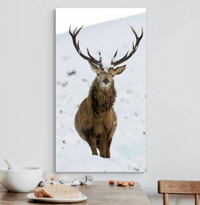 Tablou Canvas, "Cerbul singuratic în zăpada iernii", Deer, Snow, Winter, Antlers, Stare, Majestic, Cold, Nature, Wilderness, White, Calm, Scenery, Solitude, 50 x 90 cm – poza 3