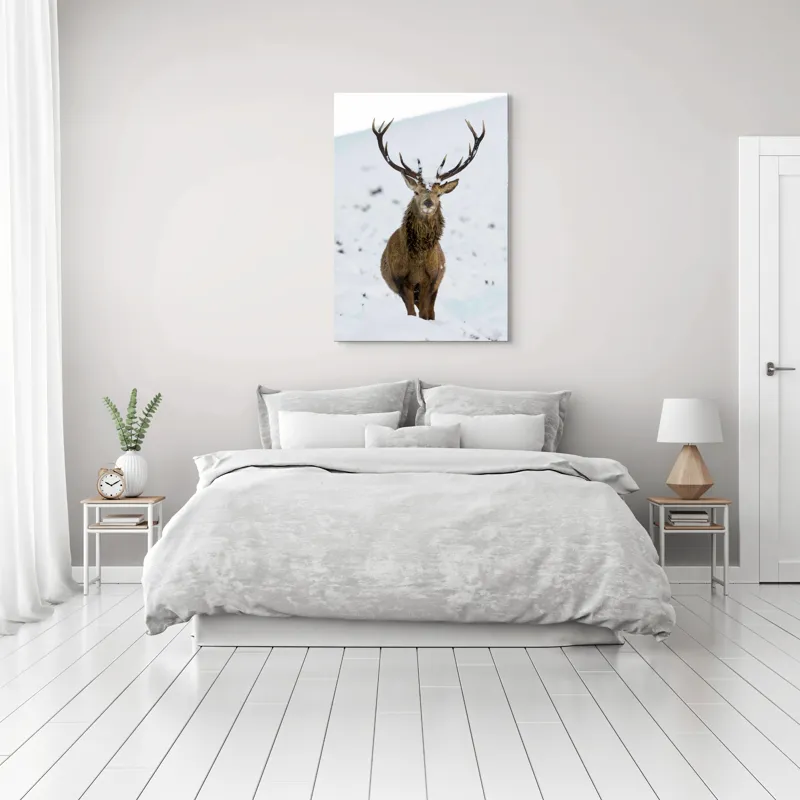 Tablou Canvas, "Cerbul singuratic în zăpada iernii", Deer, Snow, Winter, Antlers, Stare, Majestic, Cold, Nature, Wilderness, White, Calm, Scenery, Solitude, 70 x 100 cm – poza 3