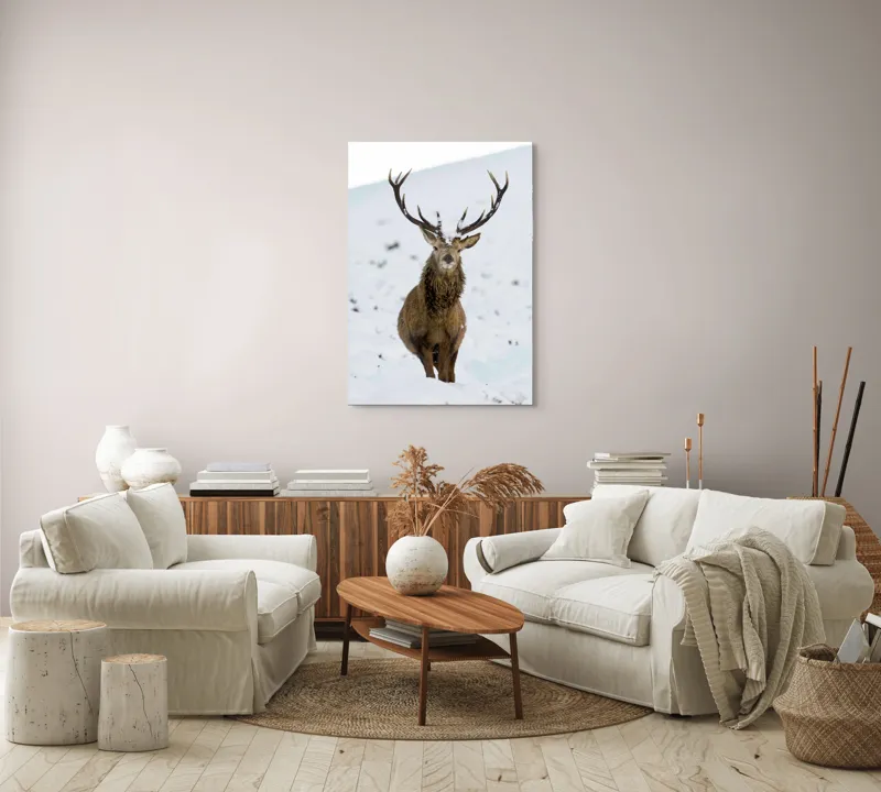 Tablou Canvas, "Cerbul singuratic în zăpada iernii", Deer, Snow, Winter, Antlers, Stare, Majestic, Cold, Nature, Wilderness, White, Calm, Scenery, Solitude, 70 x 100 cm – poza 4