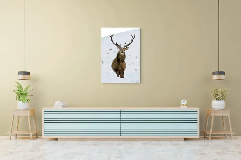 Tablou Canvas, "Cerbul singuratic în zăpada iernii", Deer, Snow, Winter, Antlers, Stare, Majestic, Cold, Nature, Wilderness, White, Calm, Scenery, Solitude, 70 x 100 cm – poza 5