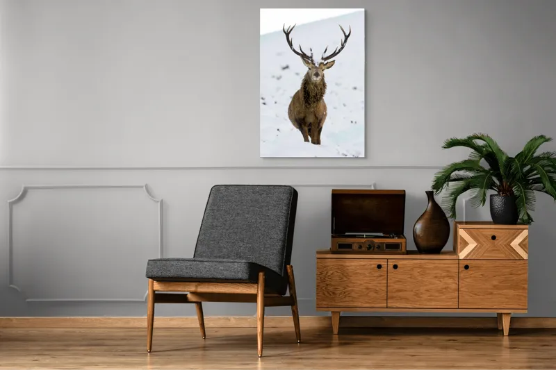 Tablou Canvas, "Cerbul singuratic în zăpada iernii", Deer, Snow, Winter, Antlers, Stare, Majestic, Cold, Nature, Wilderness, White, Calm, Scenery, Solitude, 70 x 100 cm – poza 6