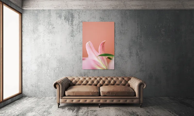 Tablou Canvas, "Flori roz în lumina dimineții", Floral, Delicat, Roz, Frunze, Blând, Simplu, Elegant, Pastel, Natural, Primăvară, 100 x 150 cm – poza 6