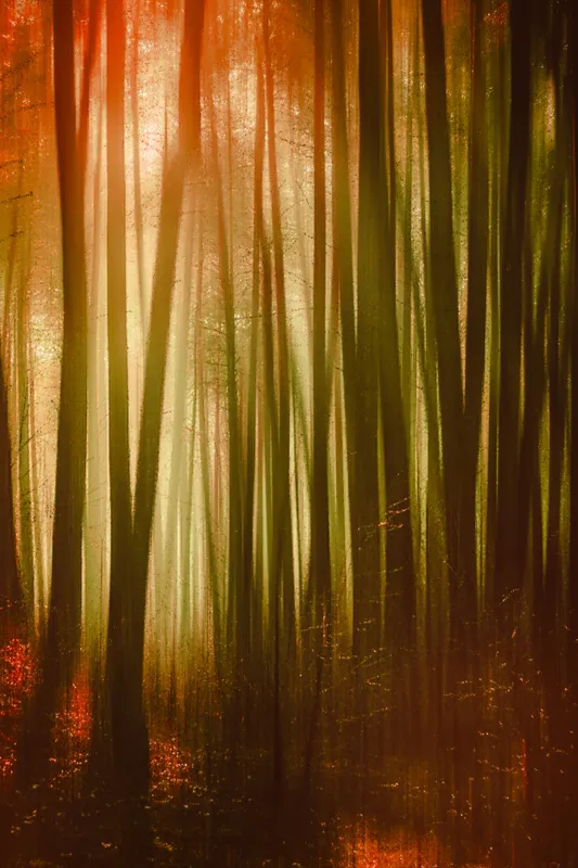 Tablou Canvas, "Pădurea fermecată în lumina apusului", Pădure, Lumină, Mister, Toamnă, Vis, Întuneric, Culoare, Liniște, 100 x 150 cm – poza 2