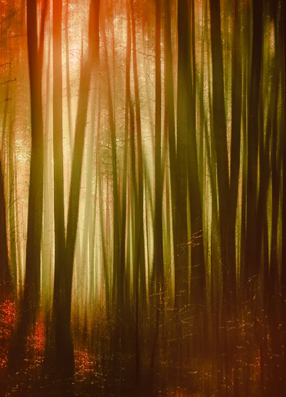 Tablou Canvas, "Pădurea fermecată în lumina apusului", Pădure, Lumină, Mister, Toamnă, Vis, Întuneric, Culoare, Liniște, 39 x 54 cm – poza 2
