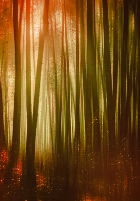 Tablou Canvas, "Pădurea fermecată în lumina apusului", Pădure, Lumină, Mister, Toamnă, Vis, Întuneric, Culoare, Liniște, 70 x 100 cm – poza 2